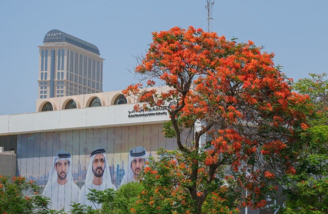 Sheikh Hamdan Launches Urban Greening Initiative in Dubai