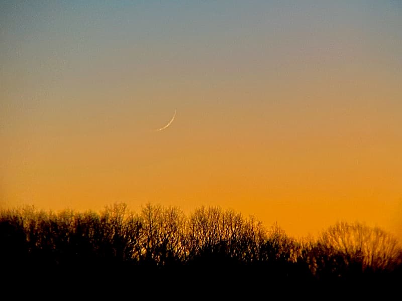 UAE Anticipates Crescent Moon Sighting to Determine Eid Al Adha Dates