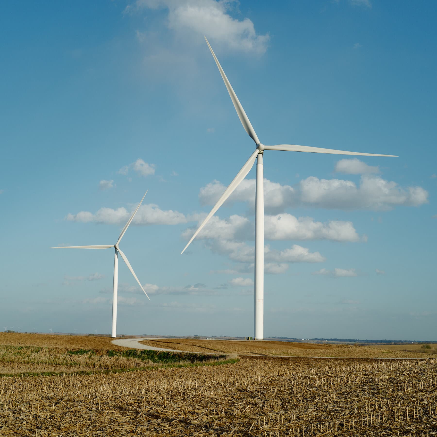 Federal Judge Blocks Trump Administration Restrictions on Renewable Energy Projects